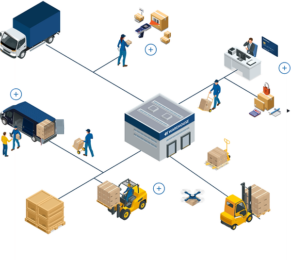 The Wholesale Landscape